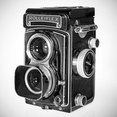 Gross & Daley Photography's profile photo