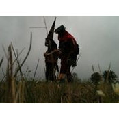 Jason Kees's photo