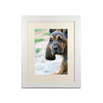 Wide Satin White Picture Frame, 1 1/4" Wide, With Matting, 8"x10"