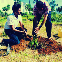 Irfan Virji