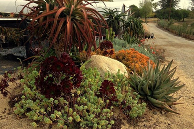 サンディエゴにあるサンタフェスタイルのおしゃれな庭の写真