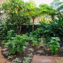 courtyard
