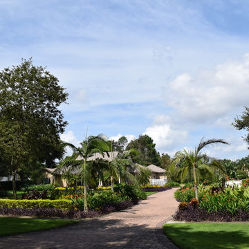 Nancy's Pomegranate Manor