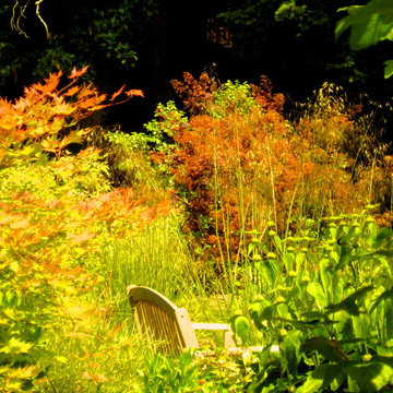 garden design