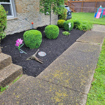 Alberto Alavez Professional Lawn Services LLC 17