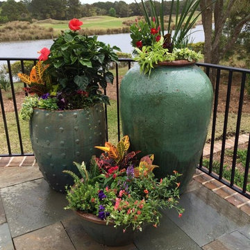 Potted Plants & Flower Beds