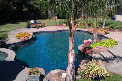 This is an example of a tropical backyard custom-shaped pool in Sacramento with concrete slab.
