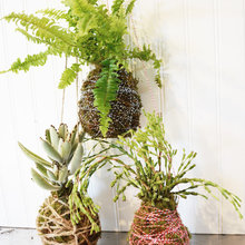 Decorating Ideas