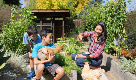 Houzz TV: An Edible Backyard in an Eichler Home