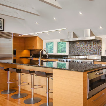 Contemporary Kitchen