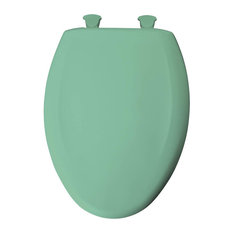 50 Most Popular Green Toilet Seats for 2020 | Houzz