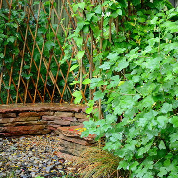 Hillside with Habitat and Food