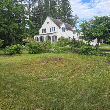 Residential Yard Landscaping - Delmar, NY