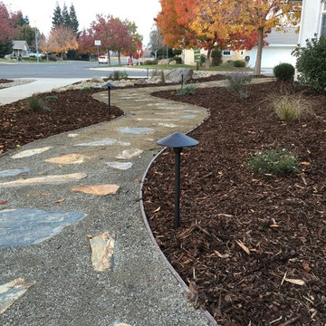Water wise landscape