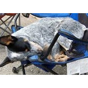 Steven Ritchie's photo