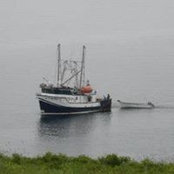Leah Greeley's photo
