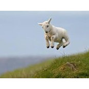 Foto von Roberta Greving