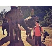 Phyo Han's photo