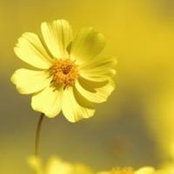 Iryna Stewart's photo