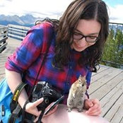Amy Gingold's photo