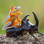 Ali Avci's photo