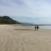 Lupe Witt's photo