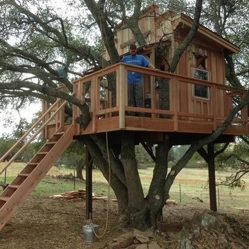 Tree House Build