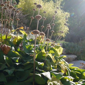 Jardin privé