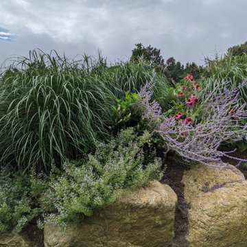 Jericho Planting