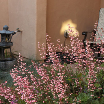 Arresting Dunes - Coastal Gem Garden