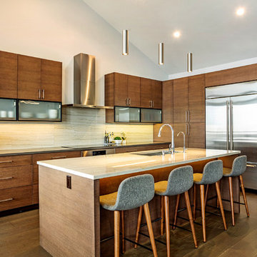 Homestead New Construction - Contemporary design