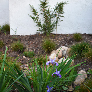 California Native Storybook Garden
