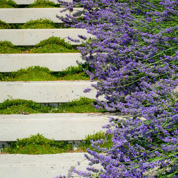 Windermere Garden