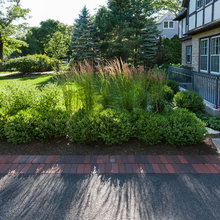 Side Yard Ideas