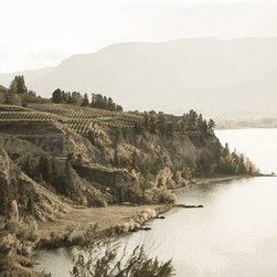 Vineyard Collection - Prints And Posters