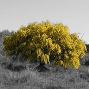 Foto de Vale Pintus