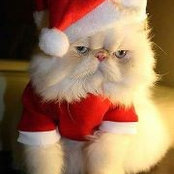 Sharon Saunders's photo