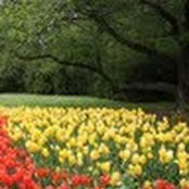Foto von Sean Liu