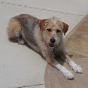 Paula Mathews's photo