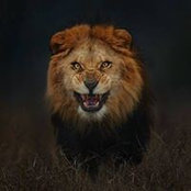 Gary Polites foto