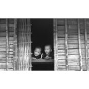 Wood Brick's photo