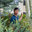 Antipodean Flora Landscape Design
