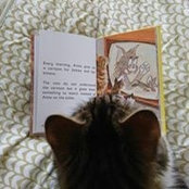 Rob Brown's photo