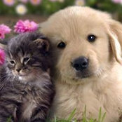 Doreen Peterson's photo