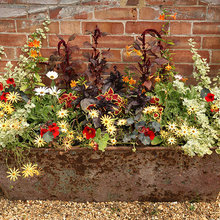 Small garden ideas