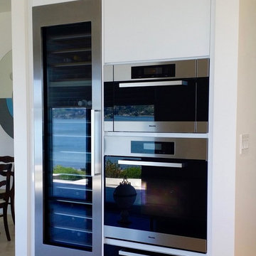 Contemporary Kitchen Cabinets