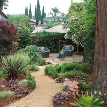 My backyard
