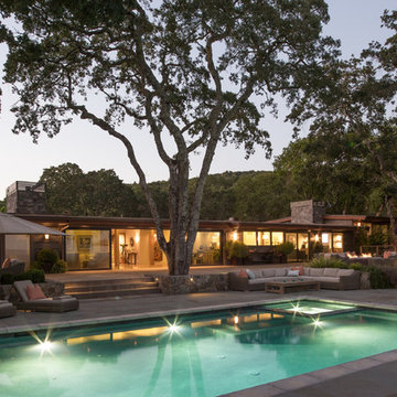 Top of the Hill Contemporary