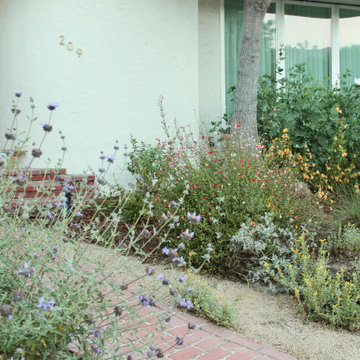 Royal California Native Frontyard Plant Bundle