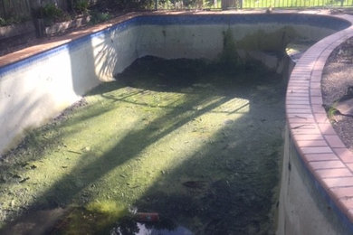 Green Pool Cleaning